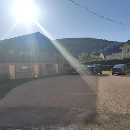 Appartement Le Cozy Nest à Gérardmer Extérieur photo